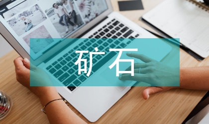 稀土礦石工藝構建研討