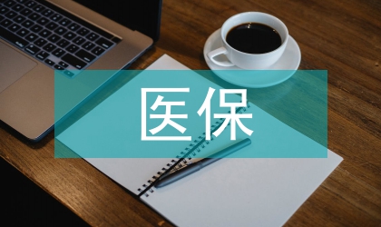 醫(yī)保監(jiān)管論文