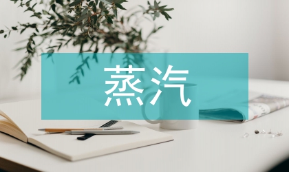 蒸汽養(yǎng)生應用