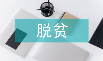 脫貧攻堅紀律作風保障年情況報告