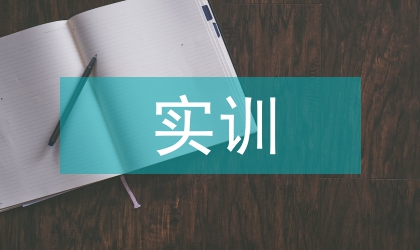 人力實(shí)訓(xùn)報(bào)告