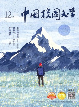 中國校園文學(xué)